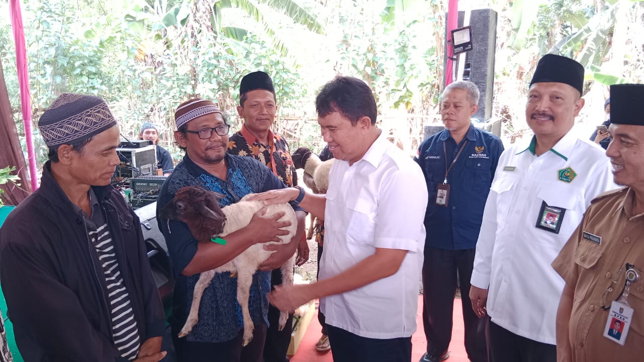 Baznas Cilacap Luncurkan Program “Cilacap Makmur Rukun Ternak” dan Salurkan Puluhan Kambing Dopper Afrika