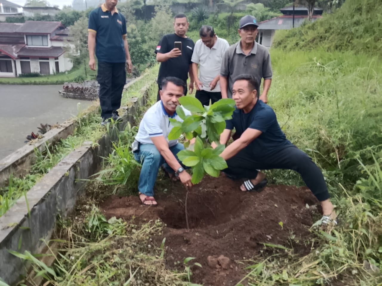 Kolaborasi Peradi SAI Purwokerto dan Komunitas Ababil Adventure Tanam 1000 Pohon