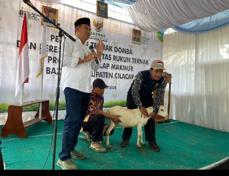 Baznas Cilacap Luncurkan Fakultas Rukun Ternak, Dorong Kemandirian Ekonomi Melalui Peternakan Domba