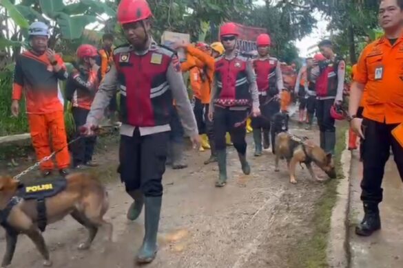 Pencarian Hari Ketiga Longsor Majenang, Tim SAR Kerahkan Sembilan Anjing Pelacak dan Sembilan Alat Berat