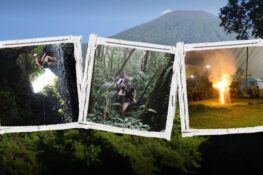 Sisi Liar Baturraden: Surga Tersembunyi untuk Para Pecandu Adrenalin dan Wisata Minat Khusus